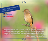 ESI LIDERIS am